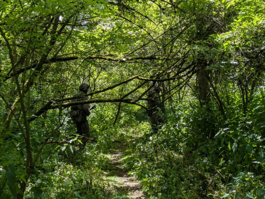 Airsoft Speiler in dicht bewachsenem Wald